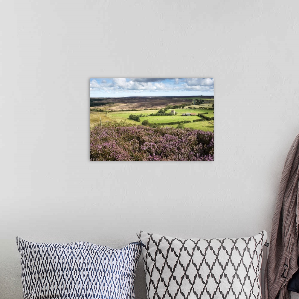 A bohemian room featuring England, North Yorkshire Moors National Park, Heather moor at Levisham