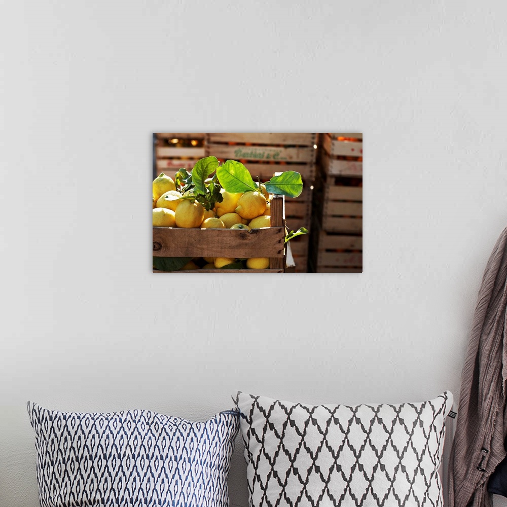 A bohemian room featuring Italy, Sicily, Agrigento district, Menfi, Crate of lemons