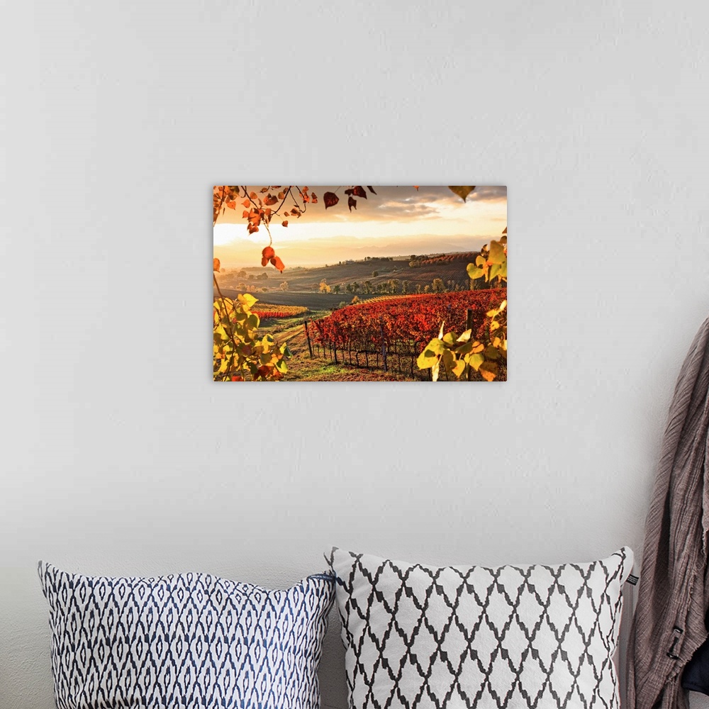A bohemian room featuring Italy, Umbria, Mediterranean area, Perugia district, Dawn over the autumnal vineyards near Montef...