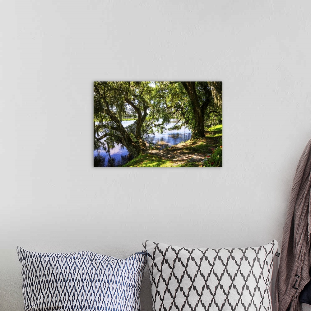 A bohemian room featuring Landscape photograph of the Ashley River bank lined with large trees on a sunny day.