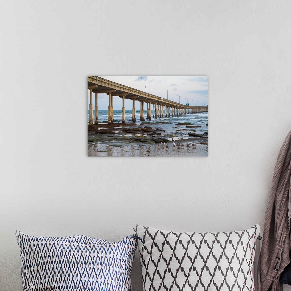 A bohemian room featuring Photograph of low tide reef and Ocean Beach Pier with sea gulls, California.
