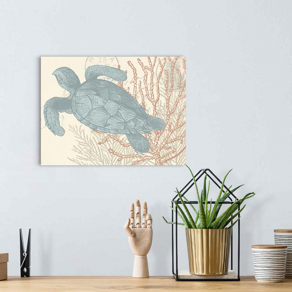 A bohemian room featuring Beach themed illustration of a blue sea turtle and coral on a cream colored postcard with handwri...
