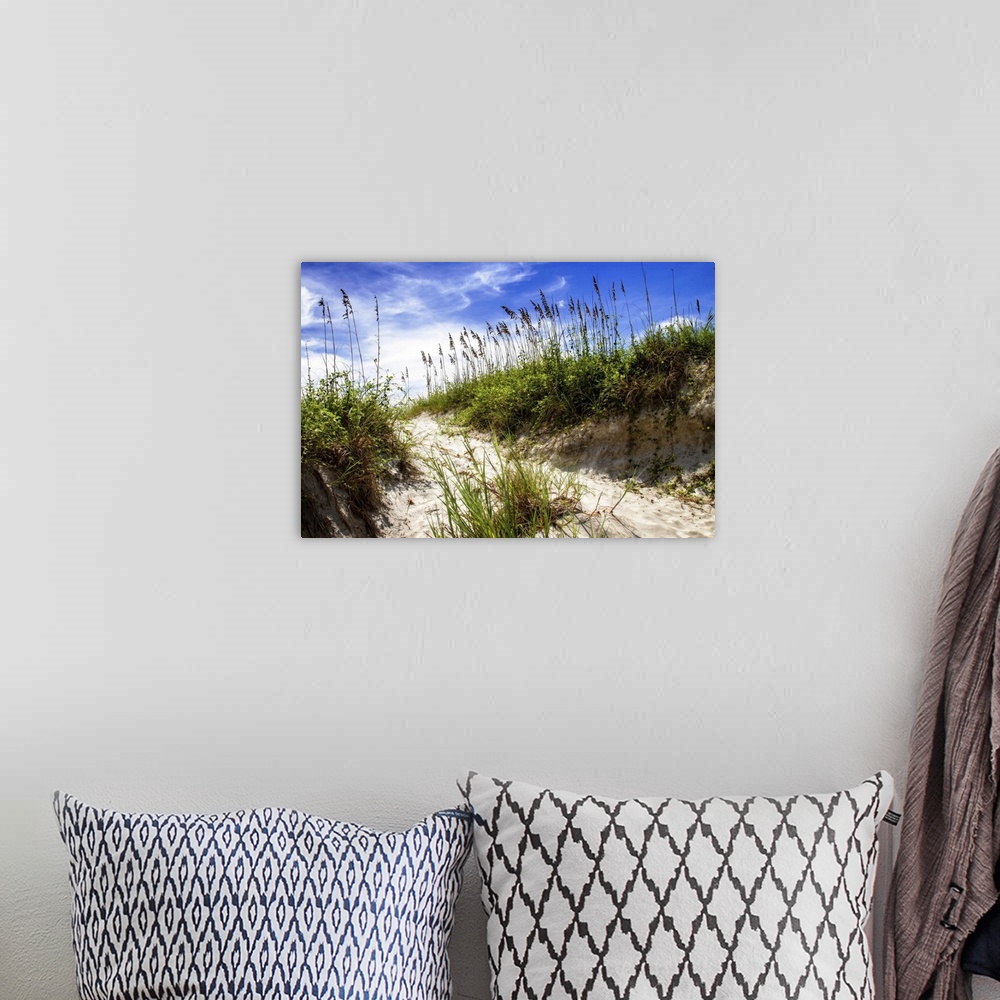 A bohemian room featuring Landscape photograph of a sandy path leading over a dune, Florida.