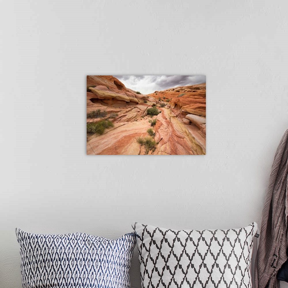 A bohemian room featuring Landscape photograph taken at Valley of Fire State Park in Nevada.
