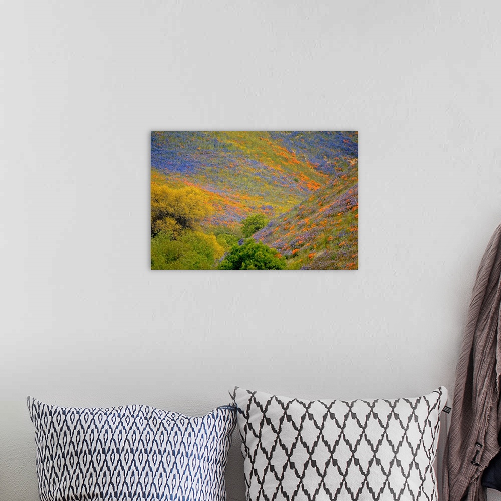 A bohemian room featuring Landscape photograph of rolling hills covered in purple and orange wildflowers.