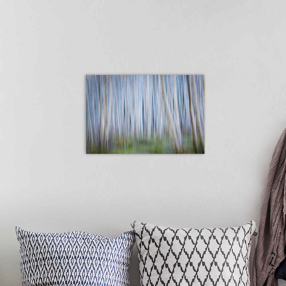A bohemian room featuring Blurred image of a forest of thin trees, creating an abstract image.