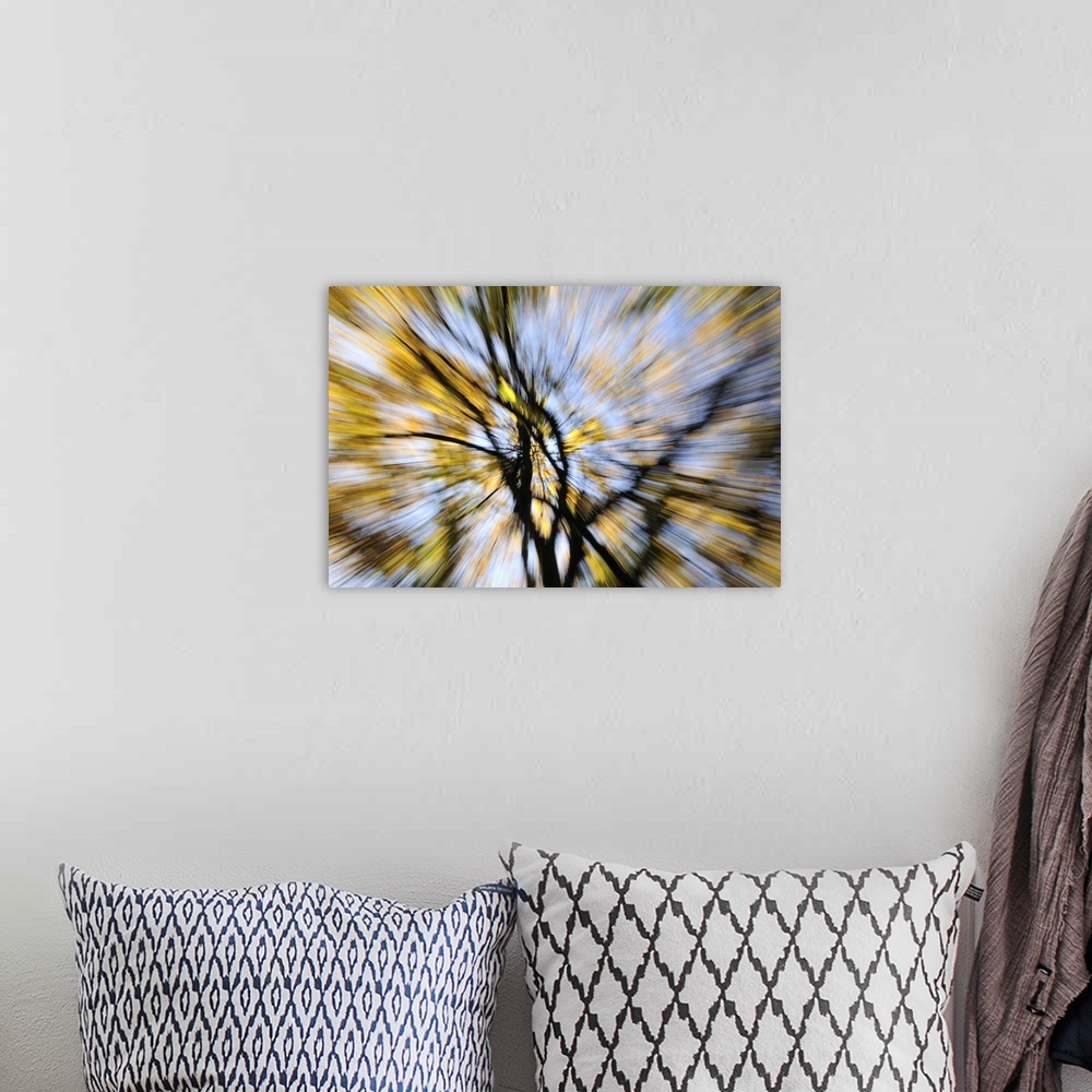 A bohemian room featuring A blurred tree