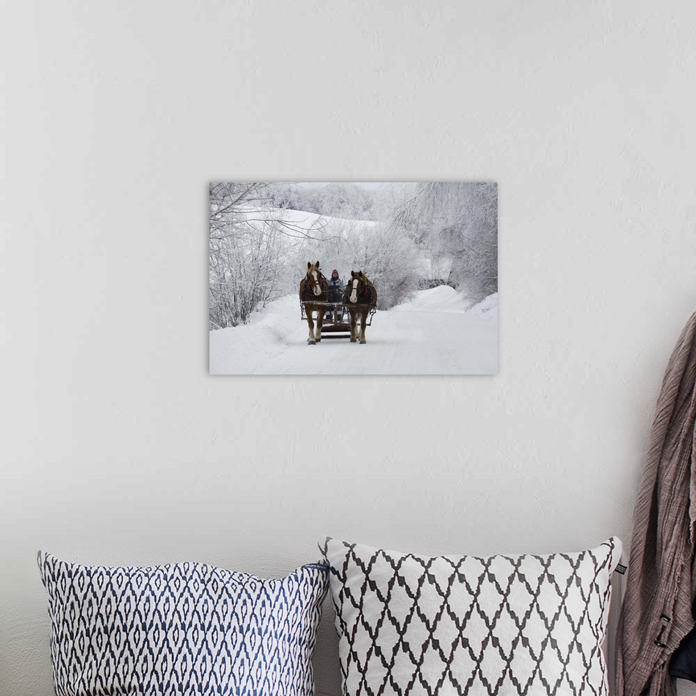A bohemian room featuring A horse ride in the snow, Quebec, Canada