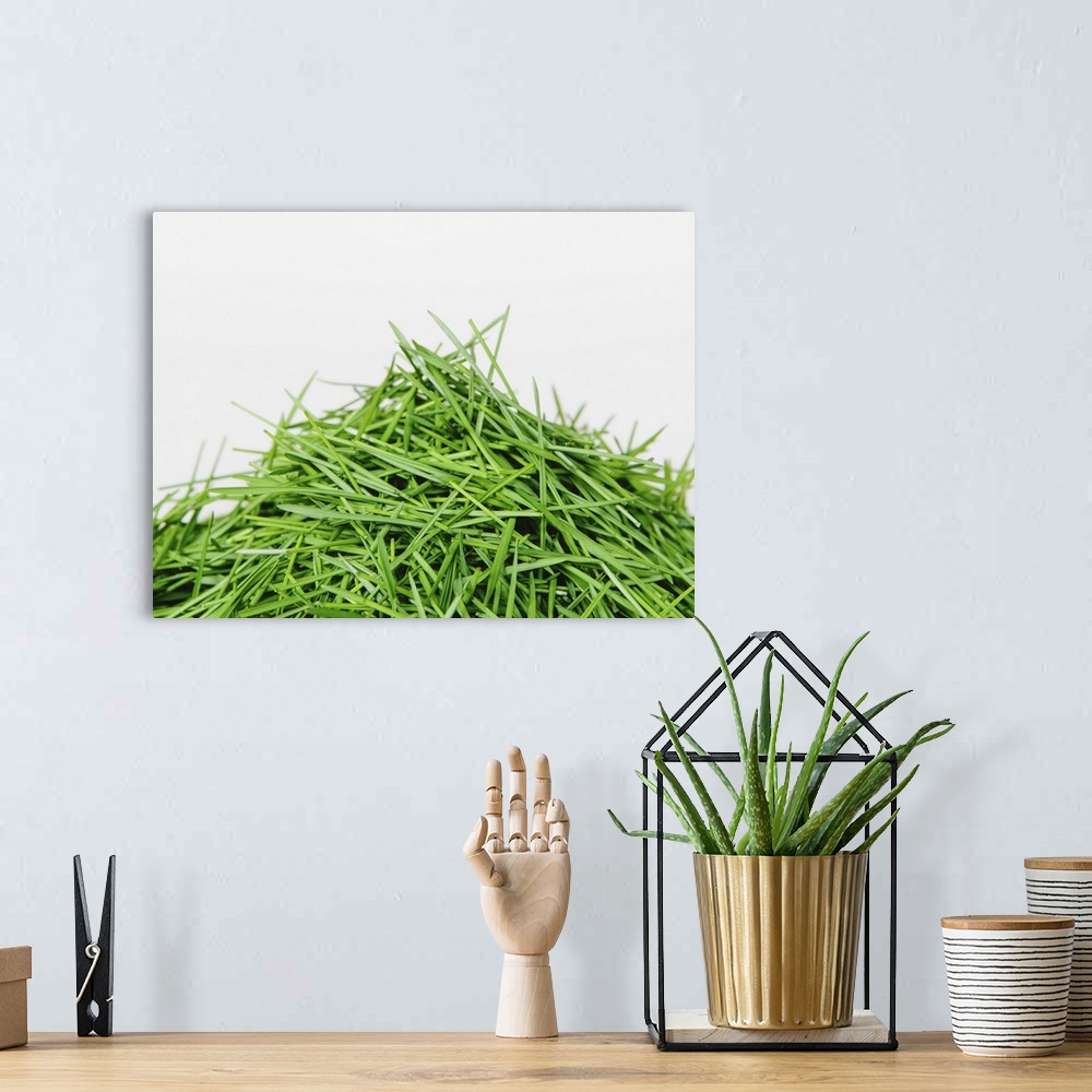 A bohemian room featuring A pile of organic wheatgrass on a white background