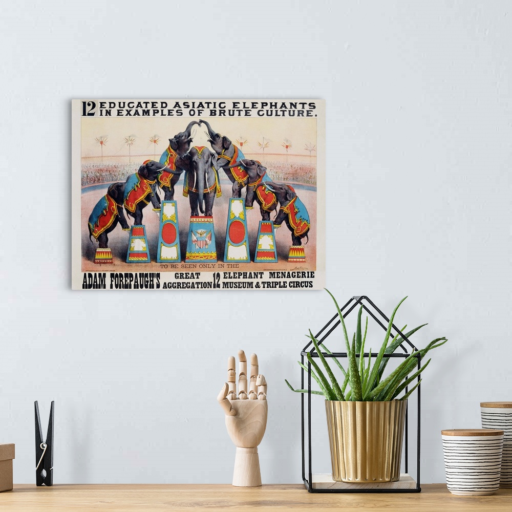 A bohemian room featuring Adam Forepaugh's Great Aggregation Poster By Matt Morgan