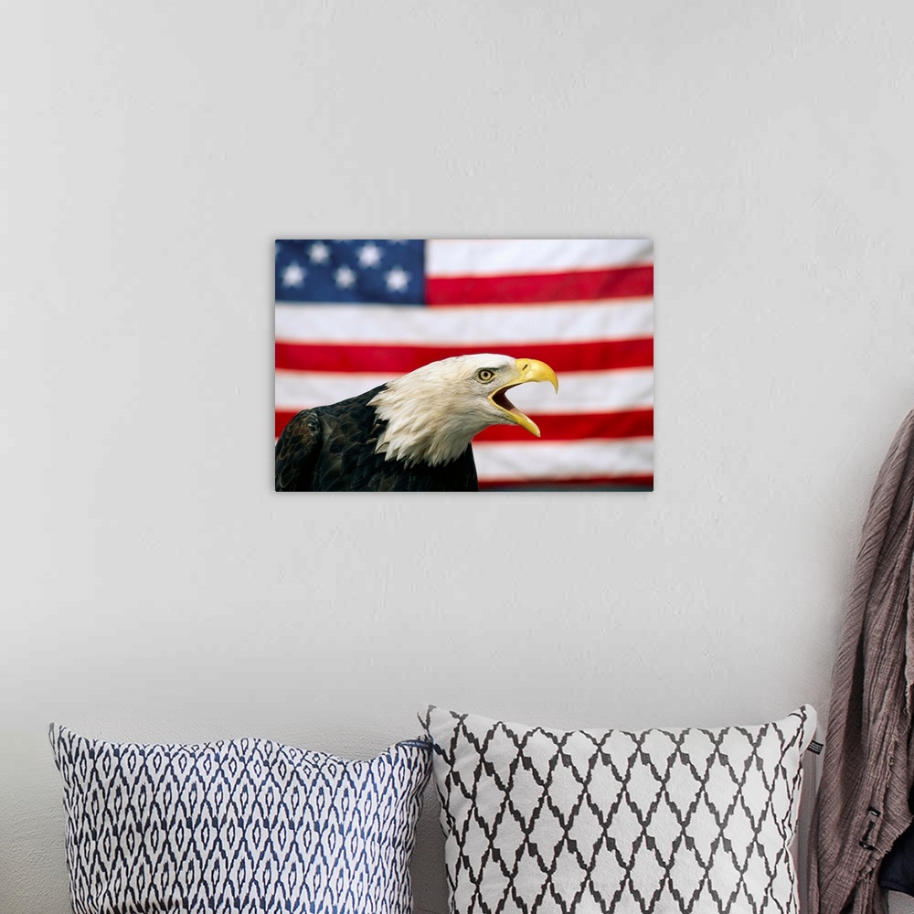 A bohemian room featuring Bald Eagle And American Flag