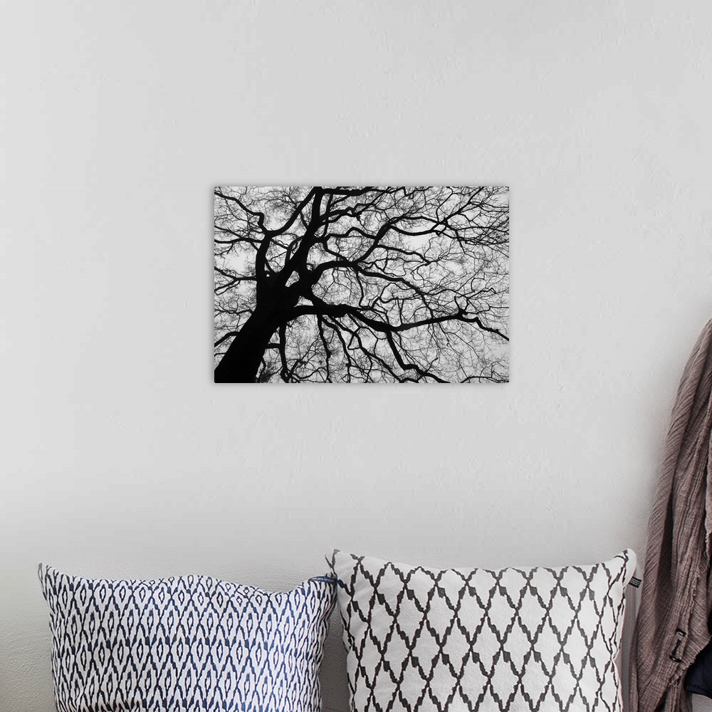 A bohemian room featuring Black tree III