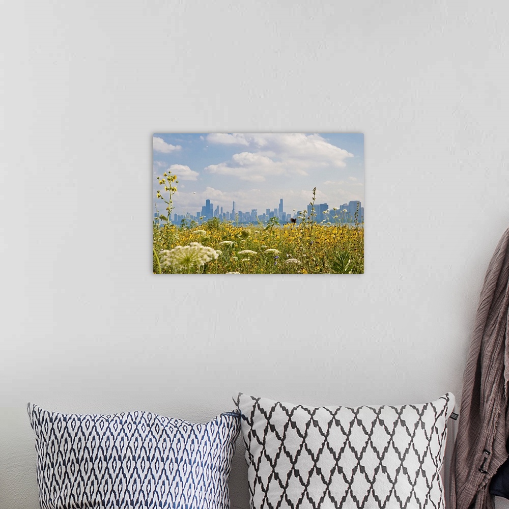 A bohemian room featuring Chicago as seen from Montrose Harbor's bird sanctuary.
