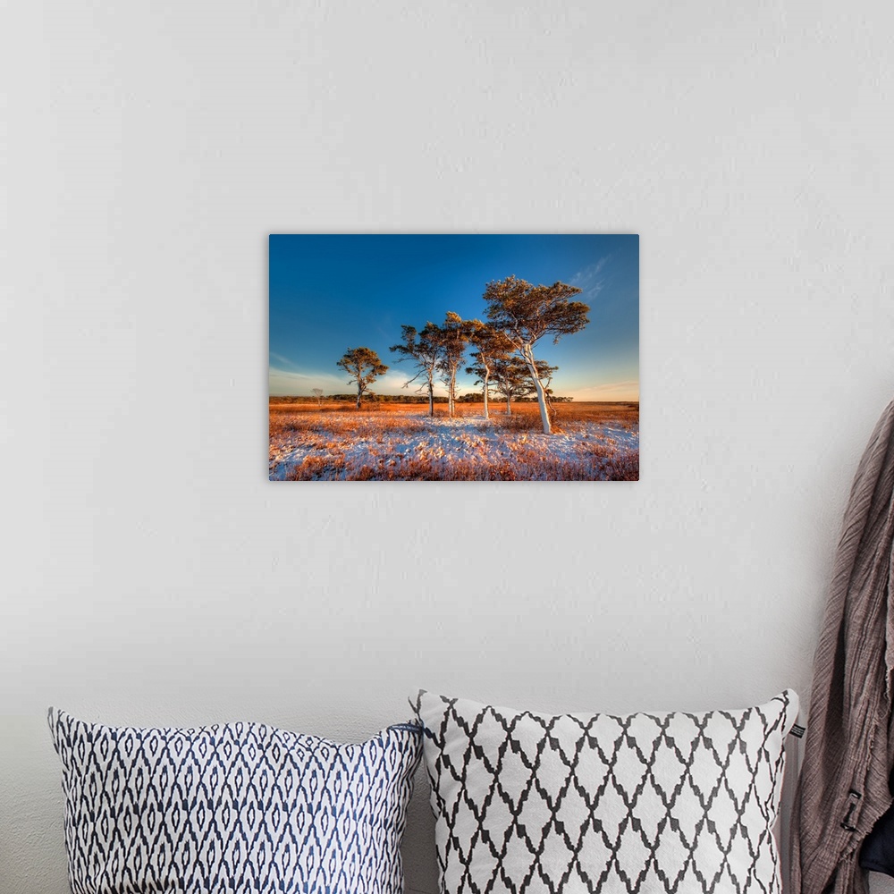 A bohemian room featuring Pines trees with sunset, Long Pond, Nantucket