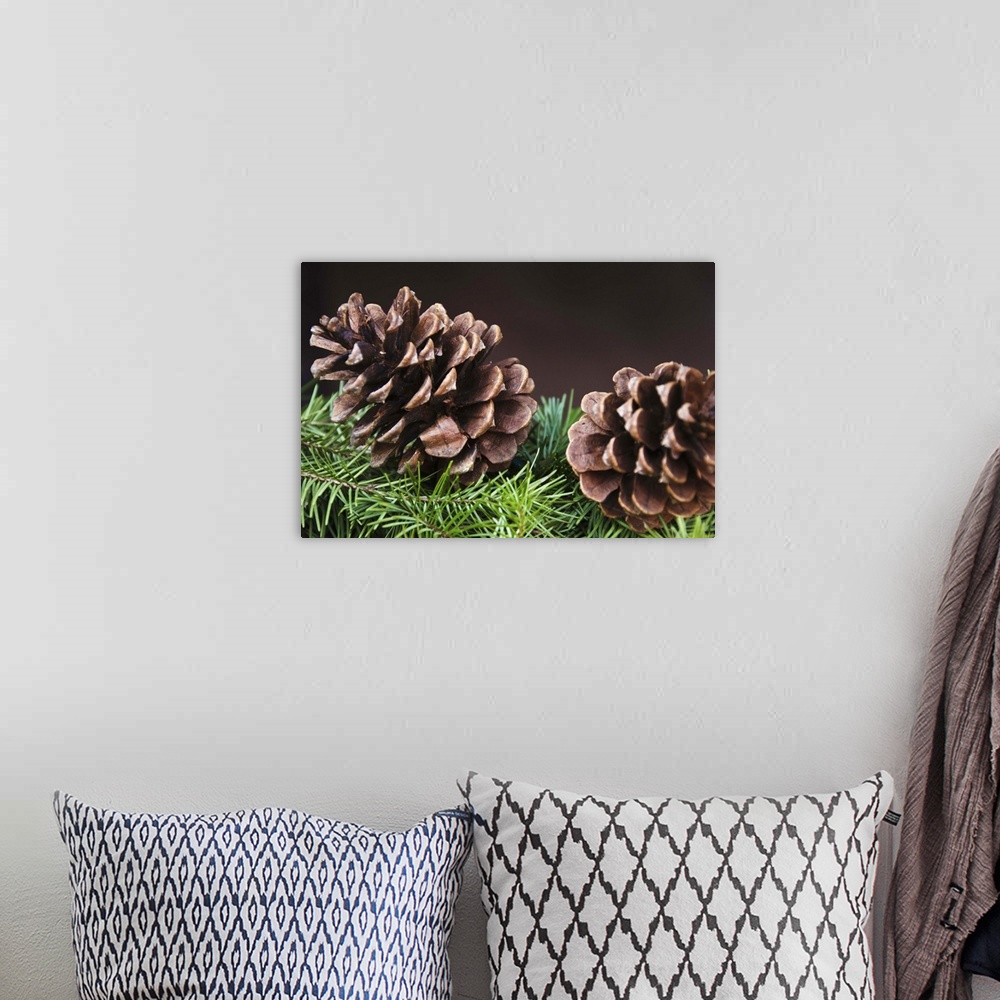 A bohemian room featuring Close-up of pine cone