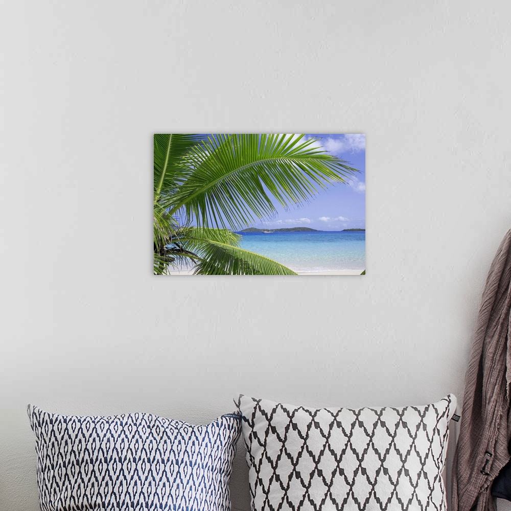 A bohemian room featuring Coconut palm tree, beach, and ocean in the Virgin Islands, Caribbean