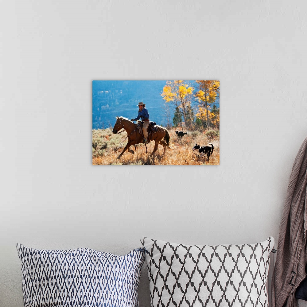A bohemian room featuring Cowgirl and her dogs