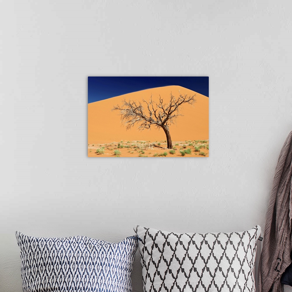 A bohemian room featuring dead tree at dune 45, desert landscape of Namib at Sossusvlei, Namib-Naukluft National Park, Nami...