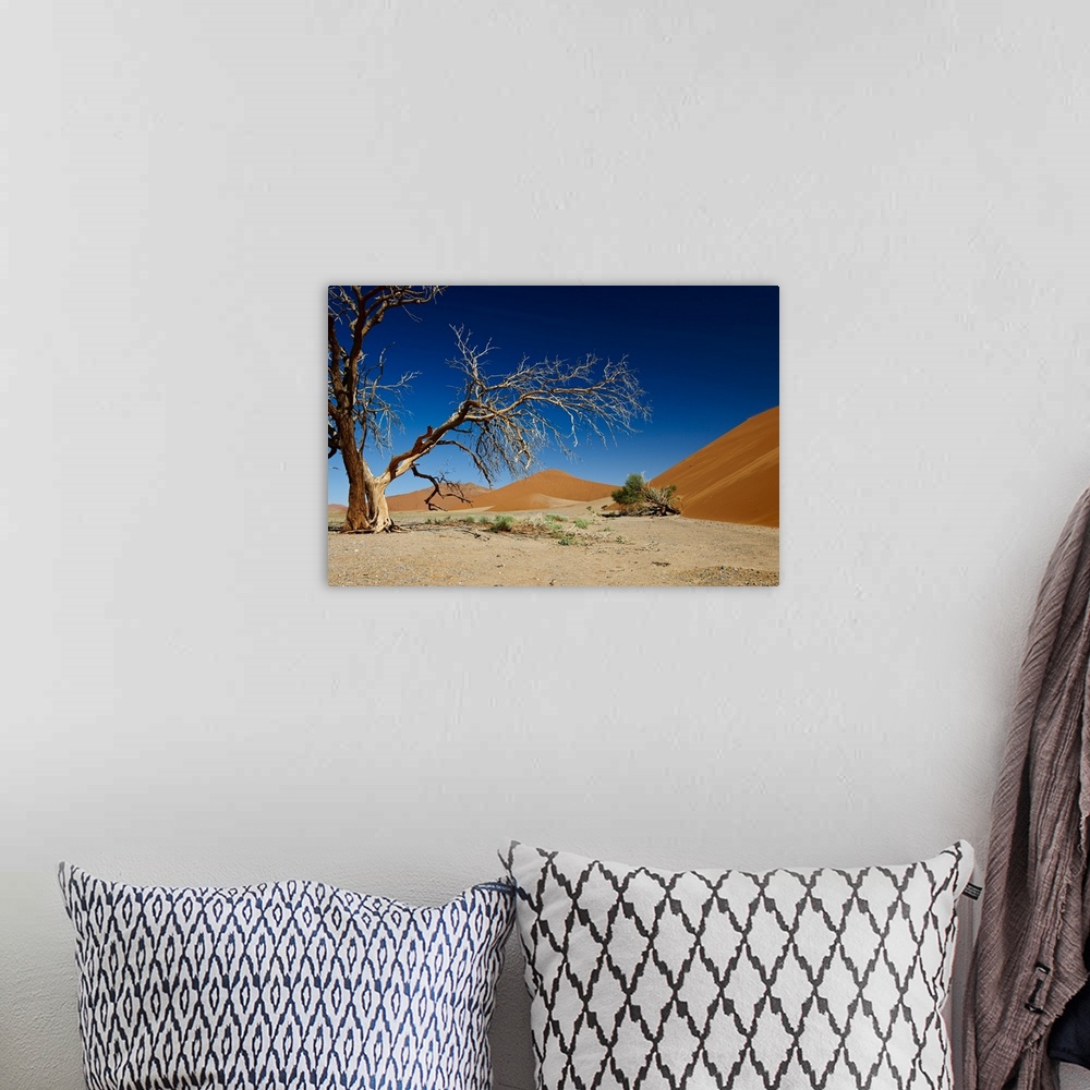 A bohemian room featuring dead tree at dune 45 in desert Landscape of Namib at Sossusvlei, Namib-Naukluft National Park, Na...