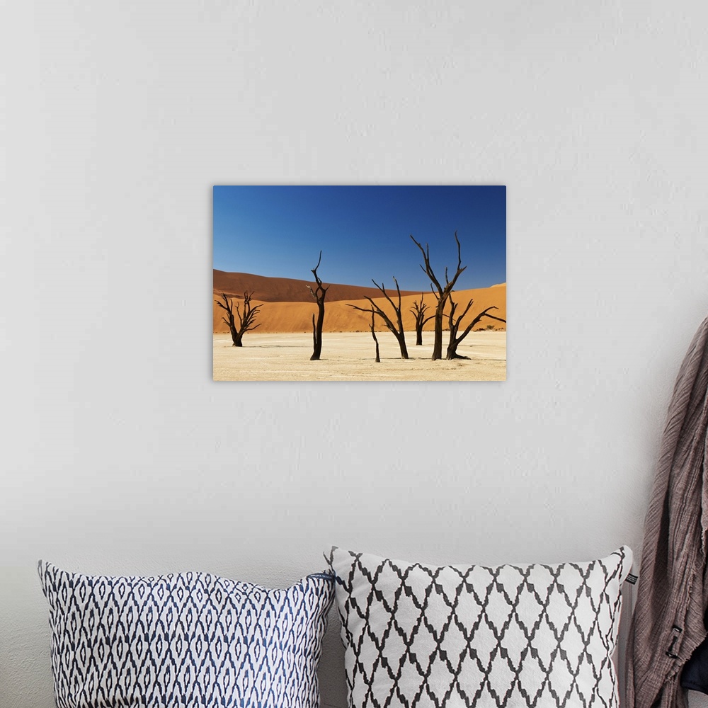 A bohemian room featuring famous Deadvlei with dead trees, desert landscape of Namib at Sossusvlei, Namib-Naukluft National...