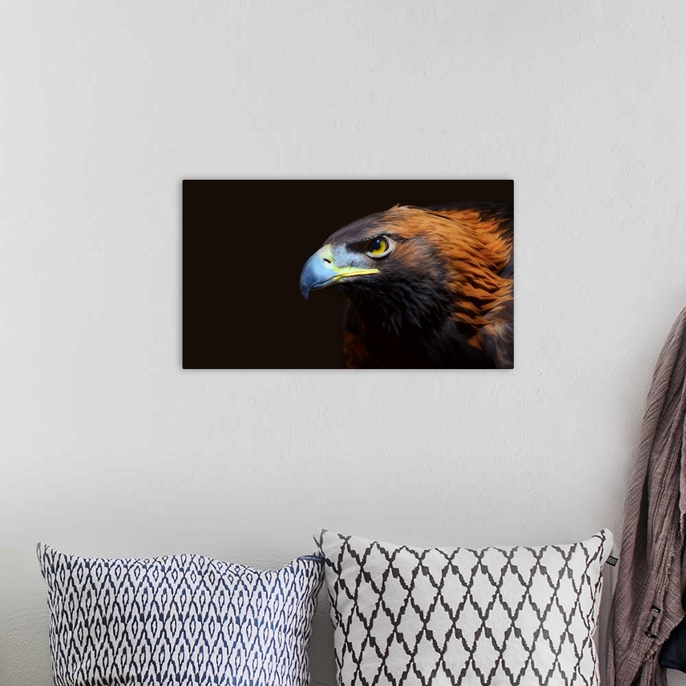 A bohemian room featuring Profile of female golden eagle.