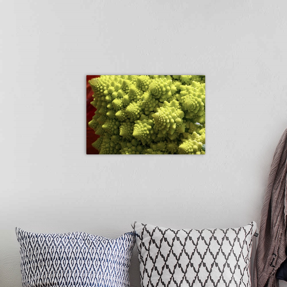 A bohemian room featuring Romanesco Broccoli showing its fractal geometry.A variant form of cauliflower