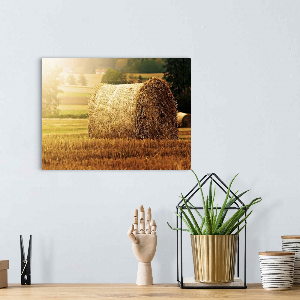 A bohemian room featuring Hay bale on field.