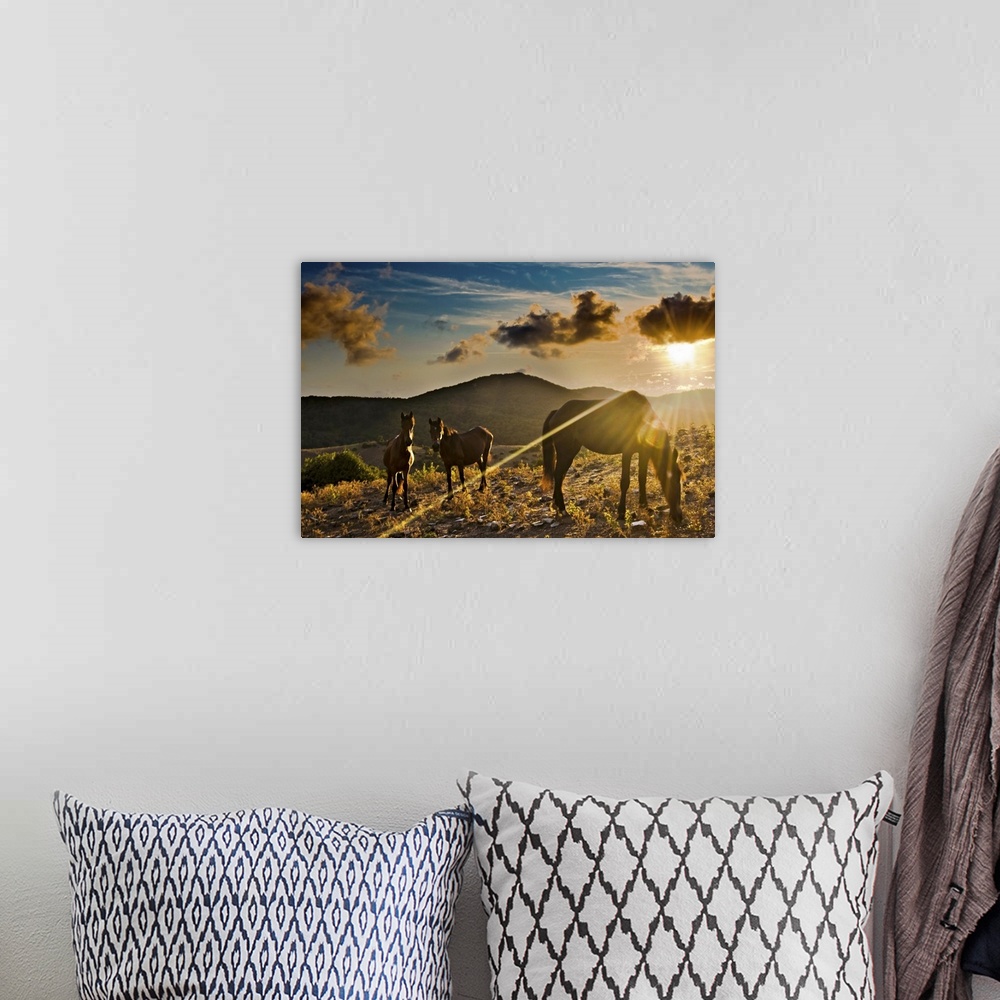 A bohemian room featuring Canvas print of three horses eating grass in a field with a beautiful sunset peeking through clou...