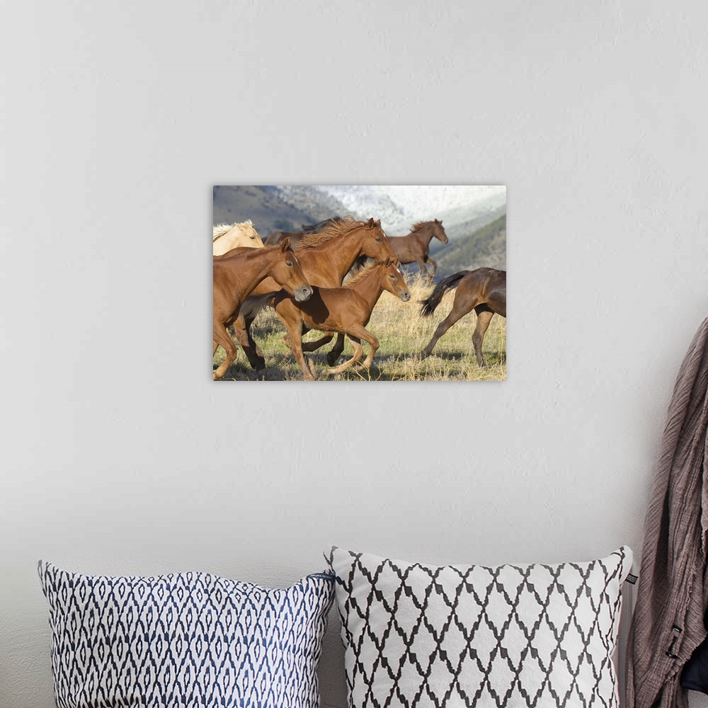 A bohemian room featuring Horses running
