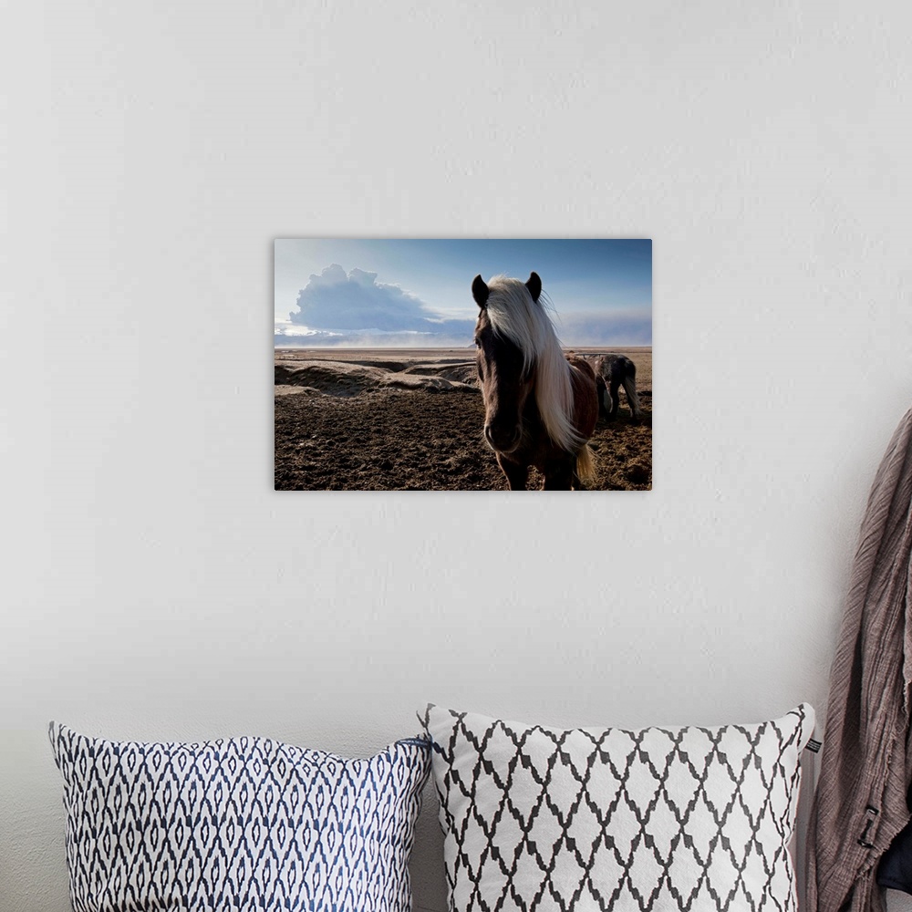 A bohemian room featuring Icelandic horses standing in pasture in shadow of ash cloud from erupting Eyjafjallajokull Volcano.