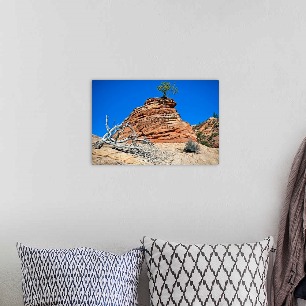 A bohemian room featuring Lonely Cypress Tree in Zion National Park II growing, inflation, lonely on mountain.
