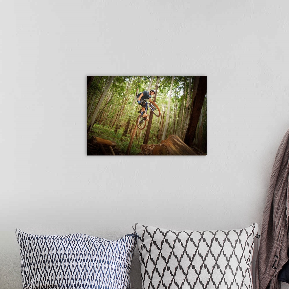 A bohemian room featuring Mountain biker jumps with  trees in background at forest in Makawao, Hawaii.