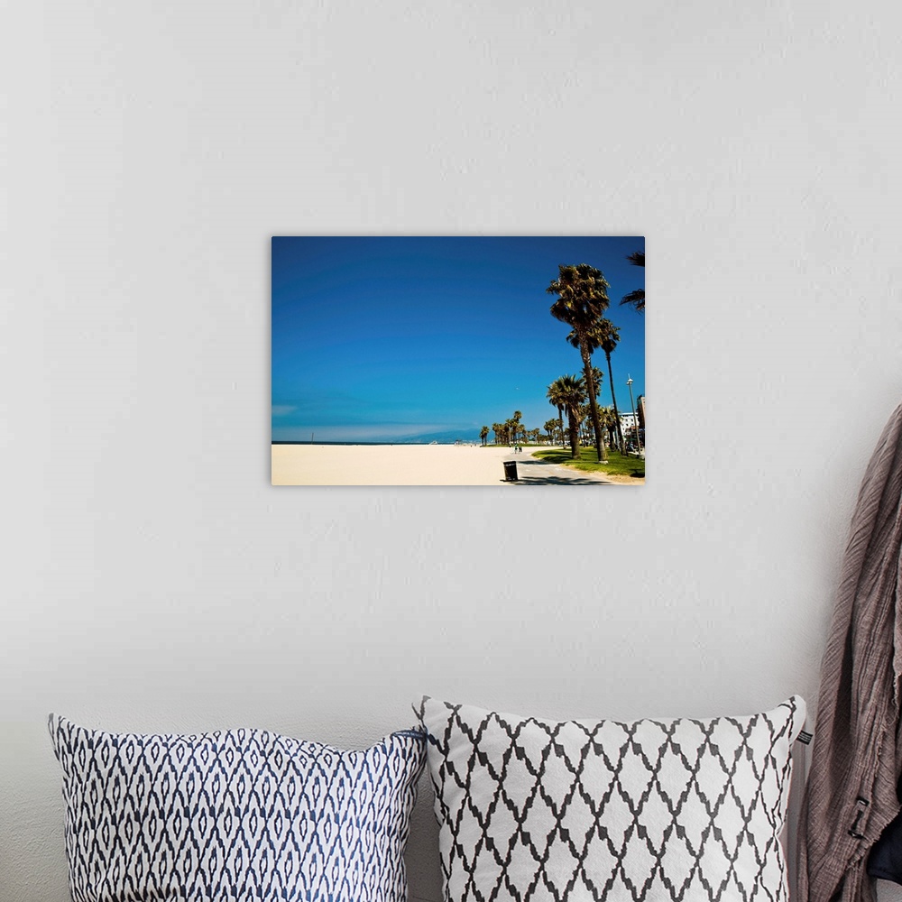 A bohemian room featuring Palm trees along beach, Venice, California