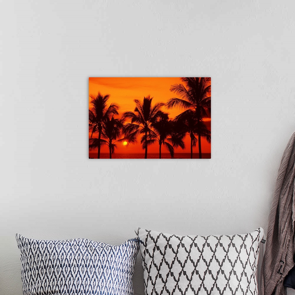 A bohemian room featuring Palm trees silhouetted by bright yellow sunball, red sunset sky