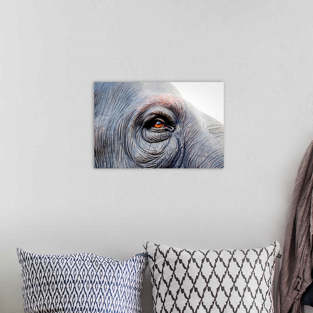 A bohemian room featuring Red eye of an elephant