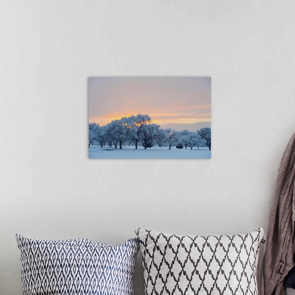 A bohemian room featuring Snow covered trees at sunset.