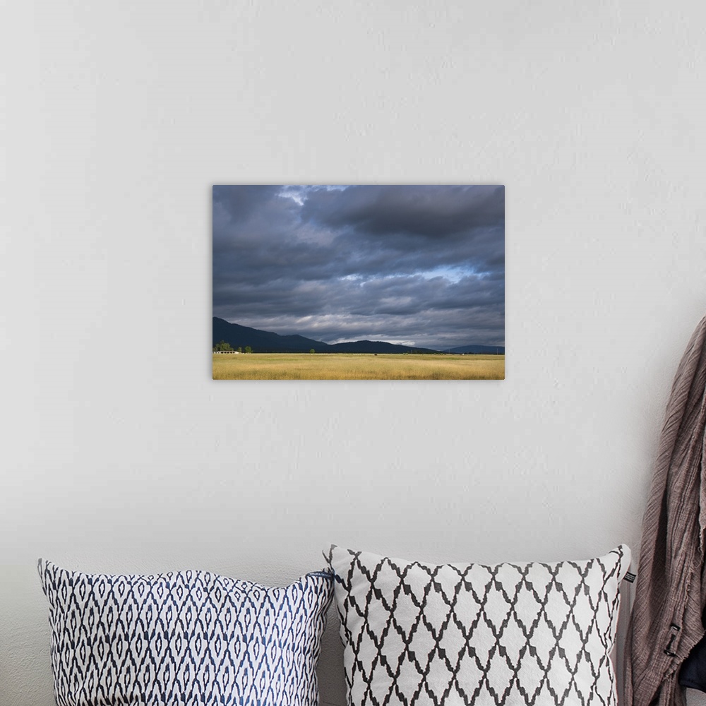 A bohemian room featuring USA, California, Lassen County, Dramatic sky over pasture