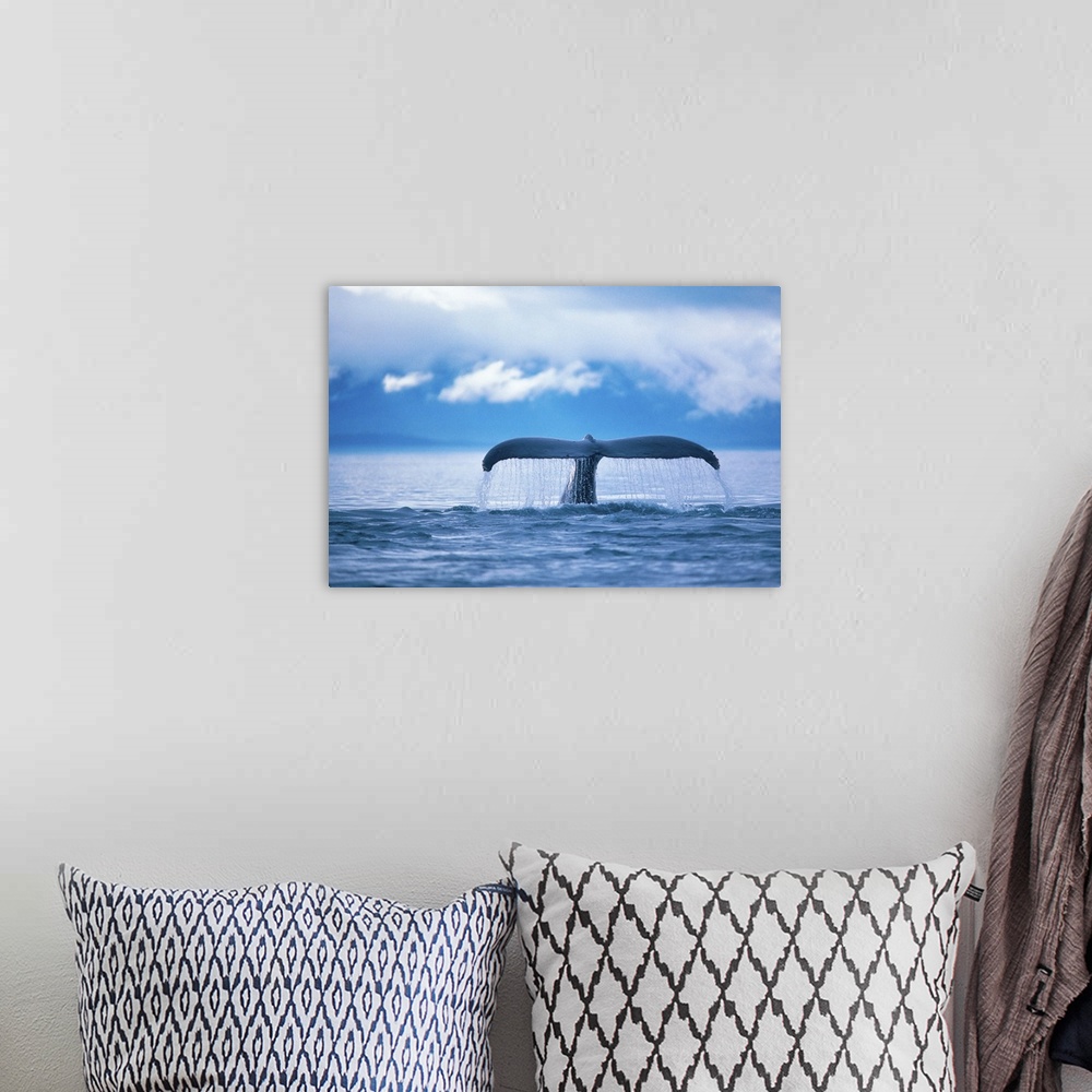 A bohemian room featuring Whale