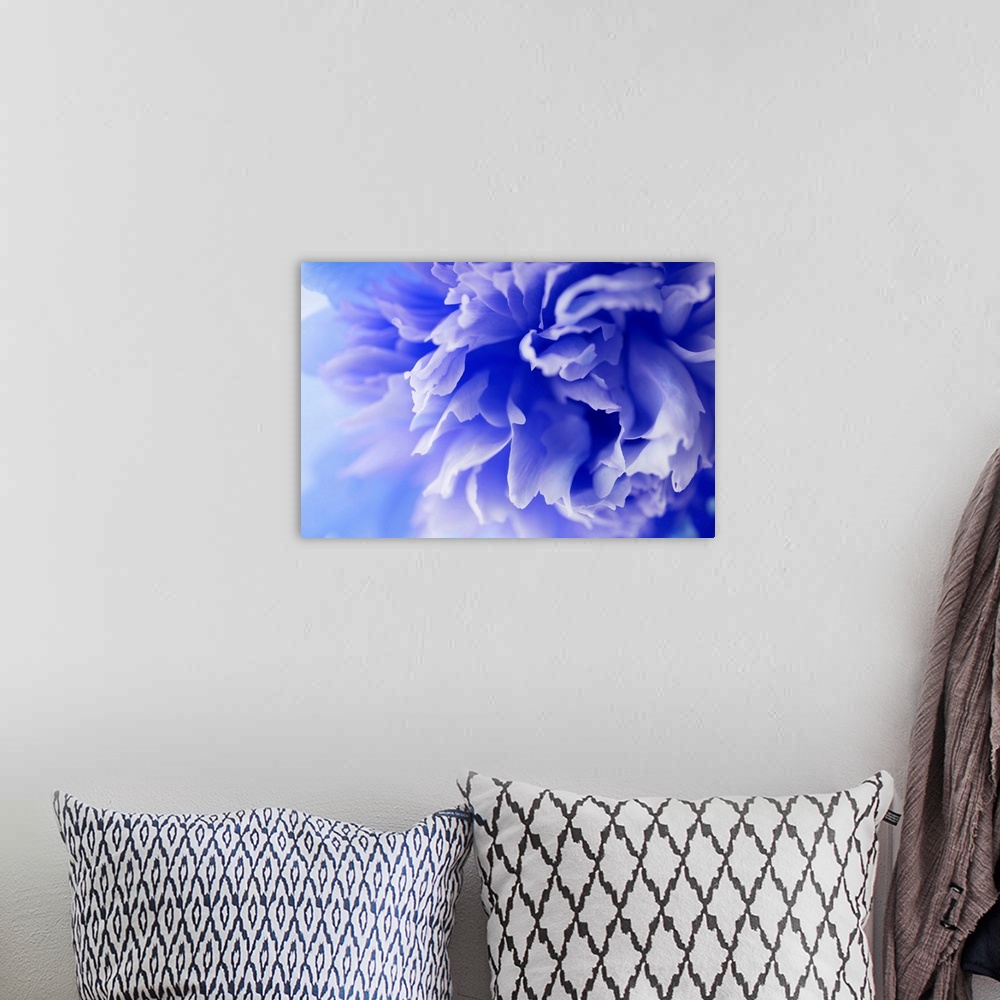 A bohemian room featuring Close up photograph of a blue flower.