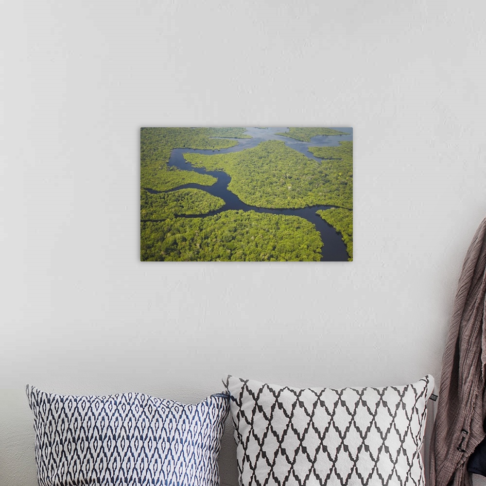 A bohemian room featuring Aerial view of Amazon Rainforest and tributary of Rio Negro, Manaus, Amazonas, Brazil