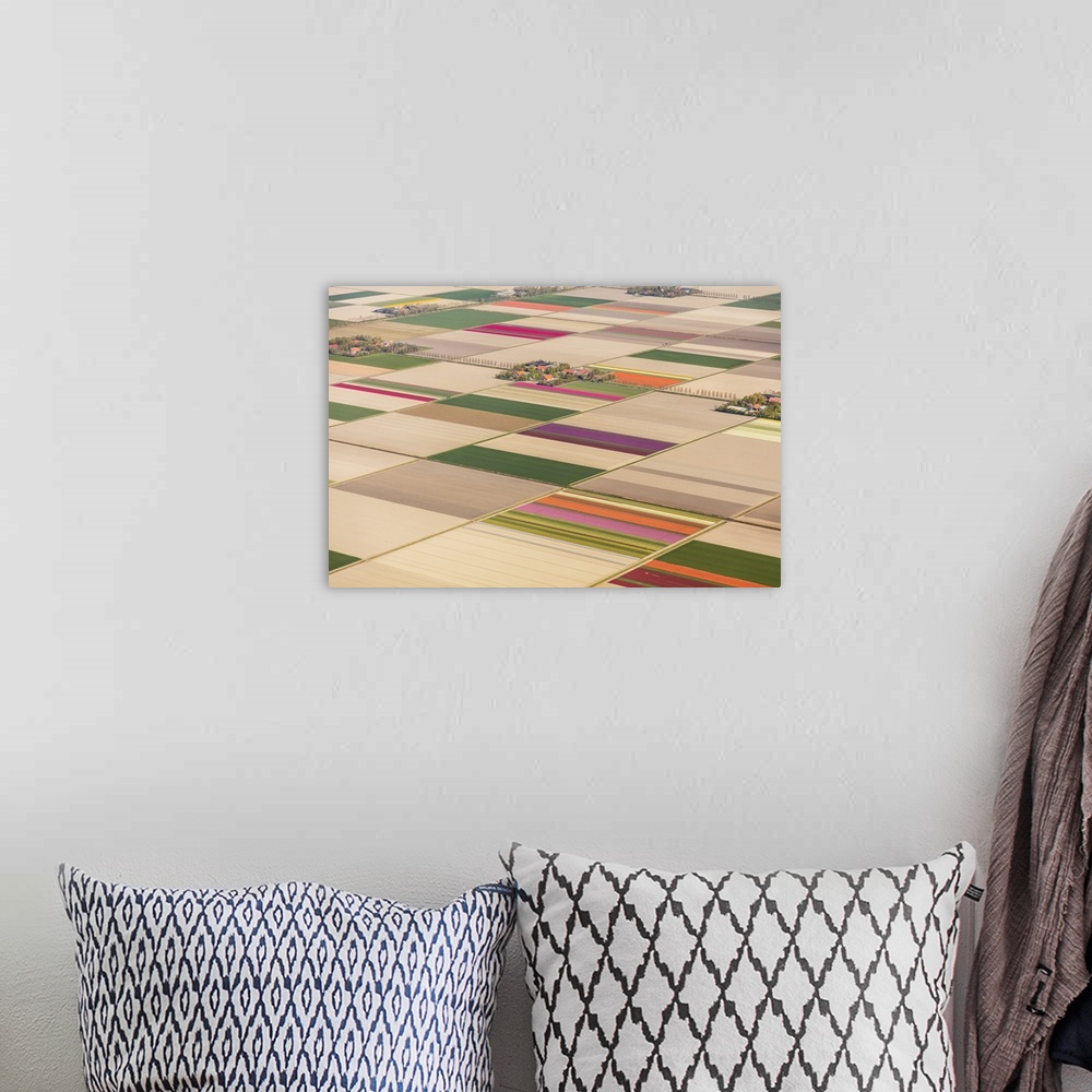 A bohemian room featuring Aerial view of the tulip fields in North Holland, The Netherlands