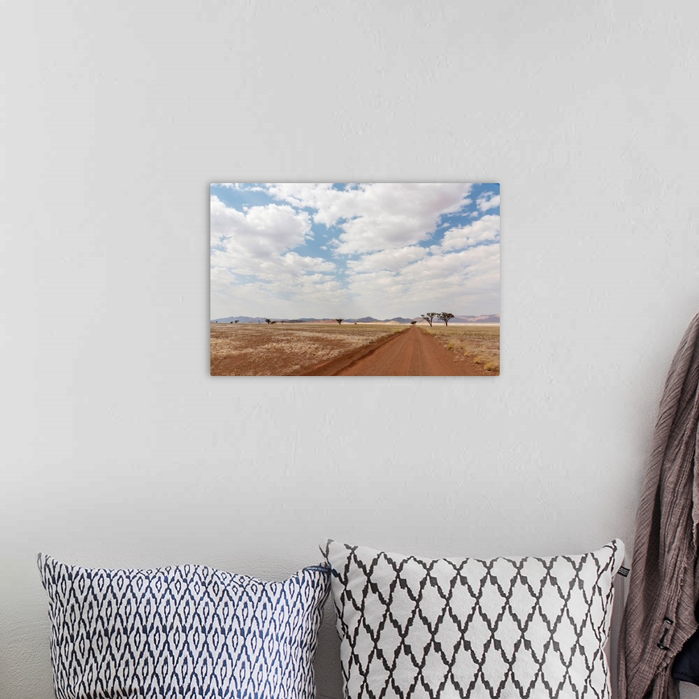 A bohemian room featuring Africa, Namibia, Namib Rand area. Road in the desert.