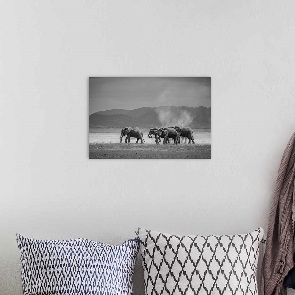 A bohemian room featuring Amboseli Park, Kenya, Africa A family of elephants in Amboseli Kenya.