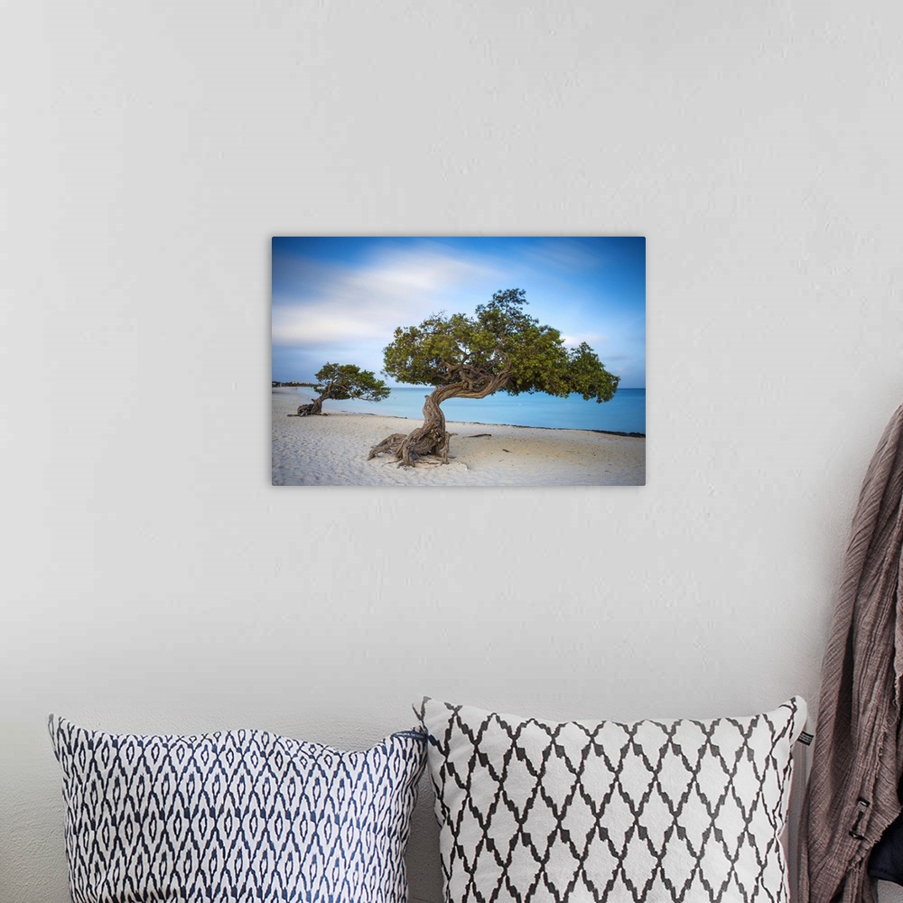 A bohemian room featuring Caribbean, Netherland Antilles, Aruba, Divi Divi Trees on Eagle Beach.