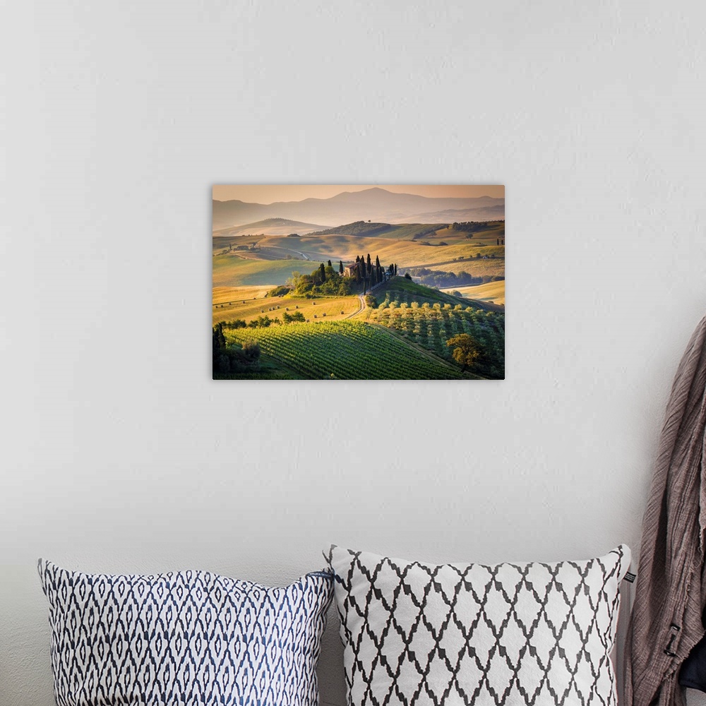 A bohemian room featuring Val d'Orcia, Tuscany, Italy. A lonely farmhouse with cypress and olive trees, rolling hills.