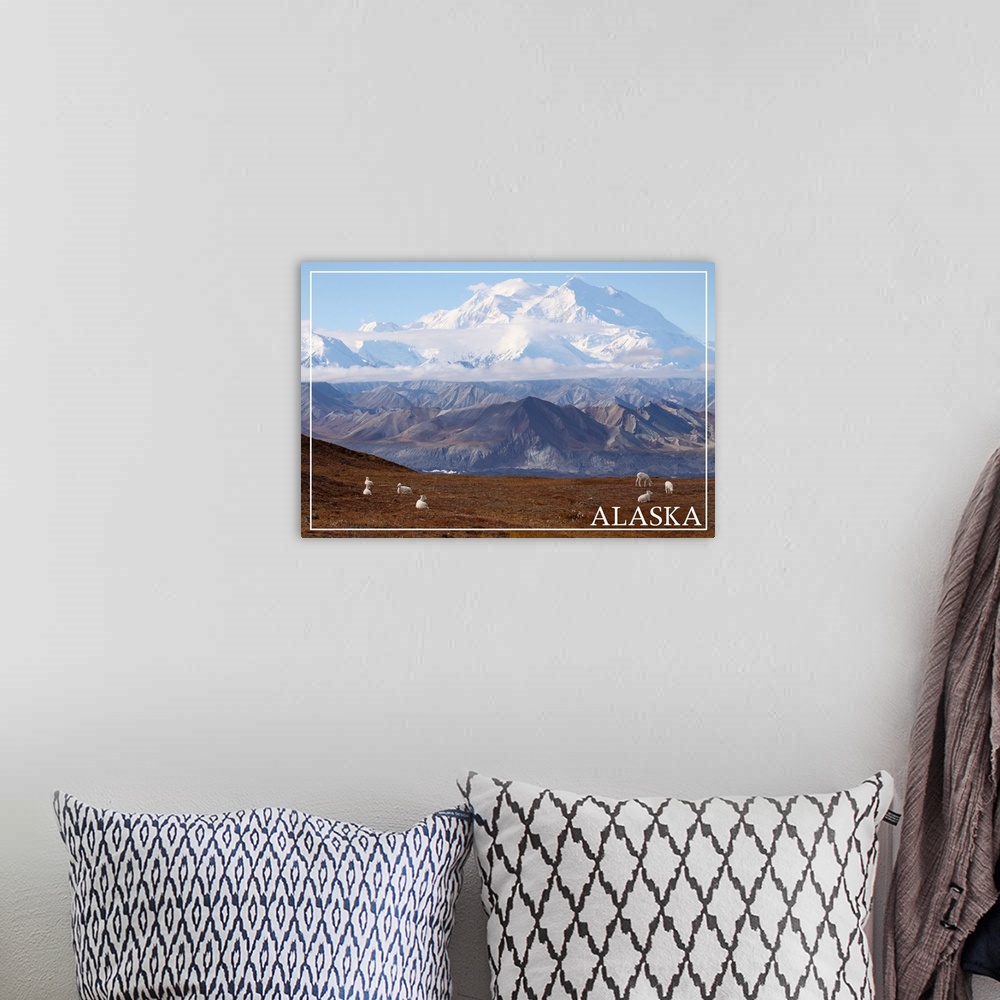A bohemian room featuring Alaska, Mt. McKinley and Goats