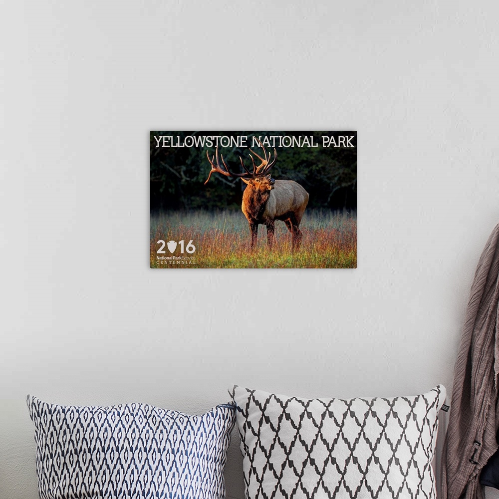 A bohemian room featuring Elk, Yellowstone National Park, Wyoming