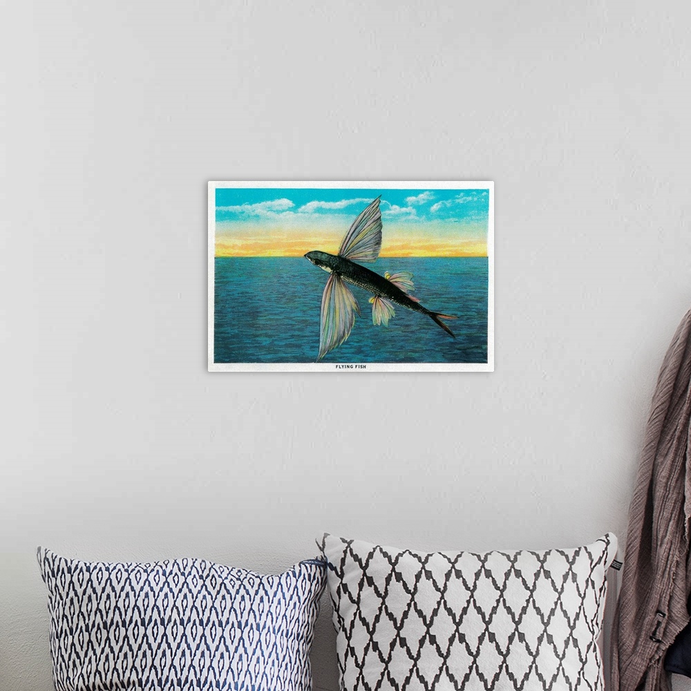 A bohemian room featuring Flying Fish at Catalina Island, CA