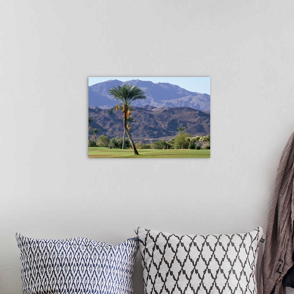 A bohemian room featuring Palm Tree & Mountains Golf Course