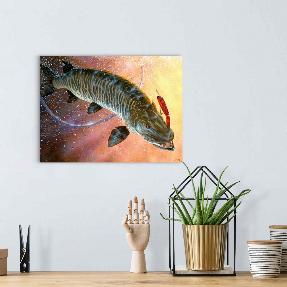 Net Muskie Solid-Faced Canvas Print